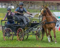 2POSIEUX 0312